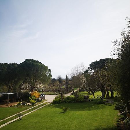 Saint-SavinienLa Burie住宿加早餐旅馆 外观 照片